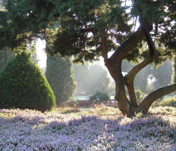 Home-trompenburg-onze-tuin