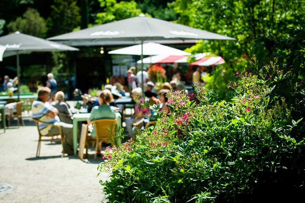 Tuincafe-terras-bij-het-entreegebouw